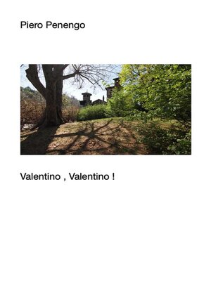 cover image of Valentino, Valentino !
